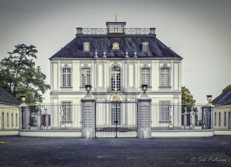 1WEB SDP 9998 Print 13x18